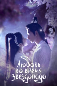Постер сериала Любовь во время звездопада